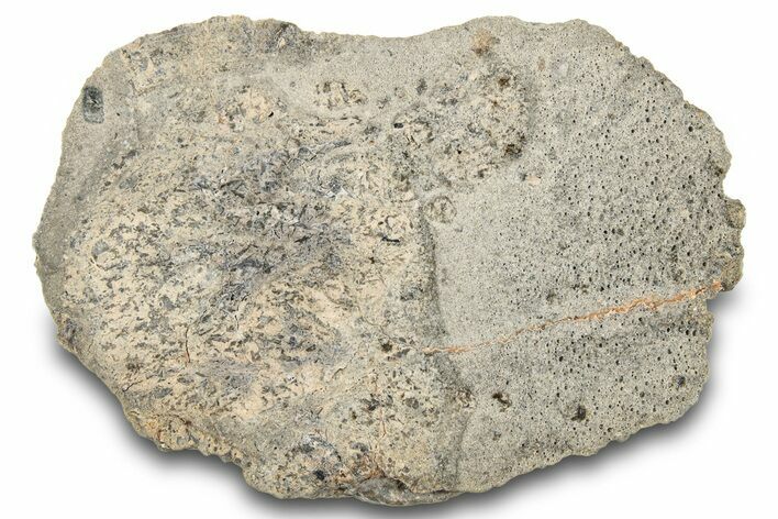 Eucrite Meteorite End Cut (g) - Jikharra #284832